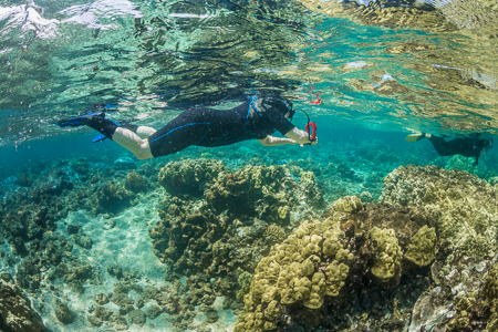 Snorkelers and Coral Reef off Big Island of Hawaii