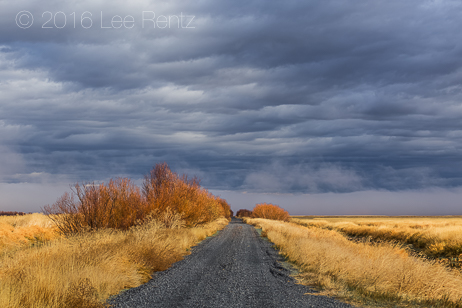 Foggy Autum Morning along Central Patrol Road in Malheur Nationa