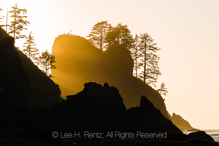 Sunset at Point of Arches in Olympic National Park